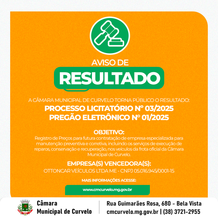 RESULTADO -  PROCESSO LICITATÓRIO N.º 03/2025 
PREGÃO ELETRÔNICO N.º 01/2025 
